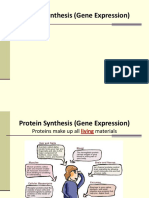 Protein Synthesis (Gene Expression)