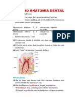 Resumão Anatomia Dental