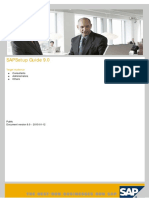 SAP Setup Guide PDF