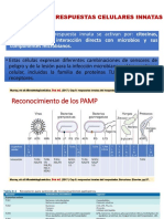 Respuestas Innatas Del Hospedador EXPO Grupo2 Micro