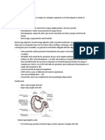 4 - Hemorragia Digestiva