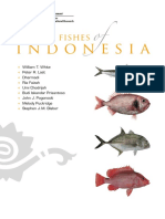 Market Ikan Indonesia