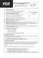 Informe Auditoria 2008