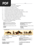 Prueba de Historia 5º Básico