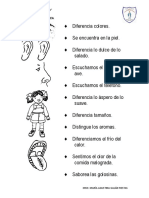 RELACIONA y COLOREA LOS SENTIDOS 3°