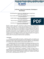 Produção Da Carne Bovina: Abate, Processamento, Embalagem e Distribuição