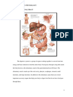 Anatomy and Physiology: Gastrointestinal Tract