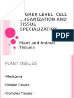 Plant and Animal Tissues