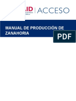 Produccion Zanahoria ACCESO