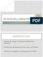 Ecografia 1er Al 3er Trimestre