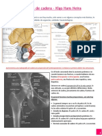 Fractura de Cadera