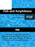 Fish and Amphibians: Aiah Clare Filipinas Kurt Al Tuburan