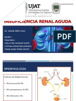 Insuficiencia Renal Aguda