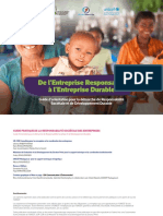 Guide Pratique RSE PDF