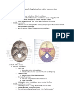 Anatomy - Skull Features