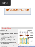 Mycobacterium 2