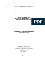 Materia Prima Trigo PDF