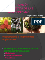 Filogenia de Angiospermas 2018-1