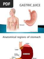 Gastric Juice