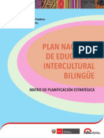 Plan Nacional Eib Castellano PDF