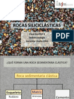 Componentes Rxs Siliciclasticas