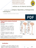 Fármacos Que Actúan en El Sistema Nervioso Autónomo