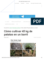 Cómo Cultivar 45 KG de Patatas en Un Barril