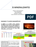 Fluidos Mineralizantes