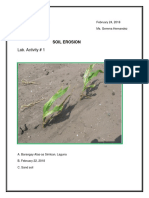 Lab. Activity # 1: Soil Erosion