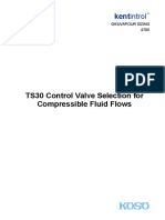 Gas Sizing PDF