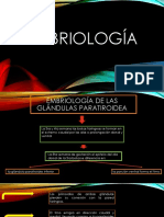 Exposicion Embriologia Sistema Endocrino