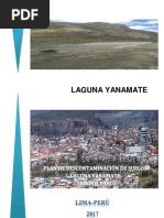 Plan de Descontaminacion de Suelos Laguna Yanamate Final