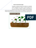 Germinación Epigea y Hipogea