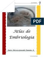 Atlas Final Embriología