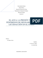 El Agua, La Presión y Los Fenómenos de Sifonamiento y Licuefacción en El Suelo