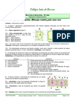 FT Revisões Transporte Transmembranar