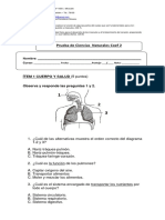 Prueba Ciencias Naturales Segundo Basico Coef 2