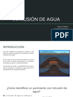 Presentacion Intrusion de Agua