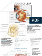 Anatomia Del Ojo Dr. Pomatanta