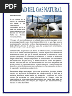 Grupo 6 Gas II Informe