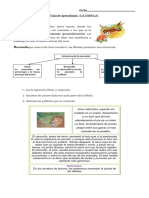 Guia Fabula PDF