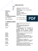 Curriculum Vitae II