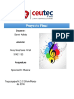 Proyecto Final Informe Sobre Portobello