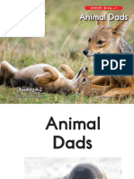 Animal Dads-Non-Fiction Level F - Reading A-Z