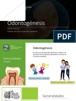 Odontogénesis