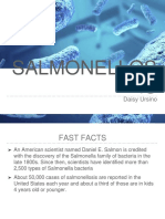 Salmonella Presentation Powerpoint