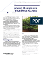 Growing Blueberries PDF