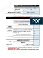 Ficha Resumen: - Curriculum Vitae de Postulante