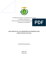 Tratamento Da Água Produzida Do Petróleo para Injeção em Mananciais