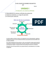 Intro - de Los Sap PDF